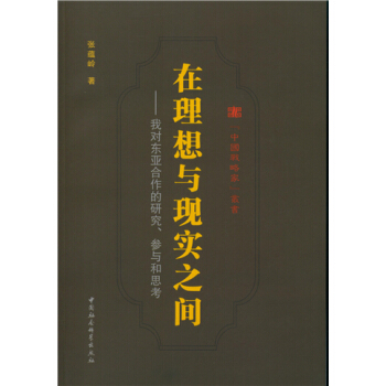 在理想与现实之间
