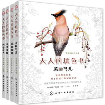 大人的填色书(套装共4册)