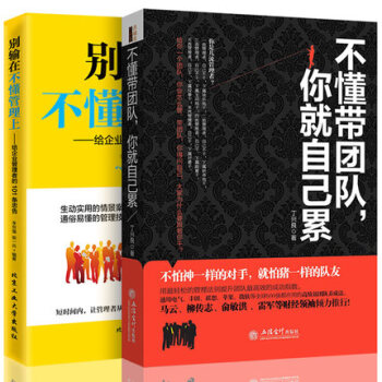 管理不懂带团队你就自己累别输在不懂领导上共2册销售技巧执行力你的团队需要一个会讲故事的人 pdf epub mobi 电子书 下载