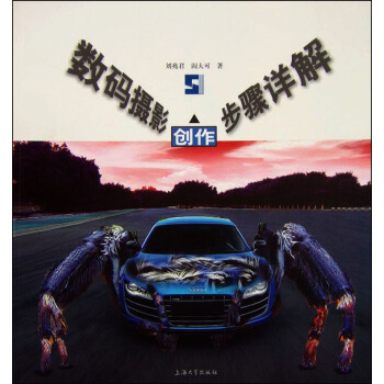 数码摄影创作步骤详解 pdf epub mobi 电子书 下载