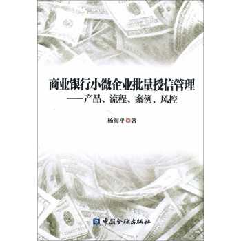 商业银行小微企业批量授信管理:产品、流程、案例、风控 pdf epub mobi 电子书 下载