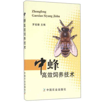 包郵 中蜂高效飼養技術 高效養中蜂 中蜂蜜蜂養殖技術書籍 養蜂實用書籍手冊 中華蜂土蜂中
