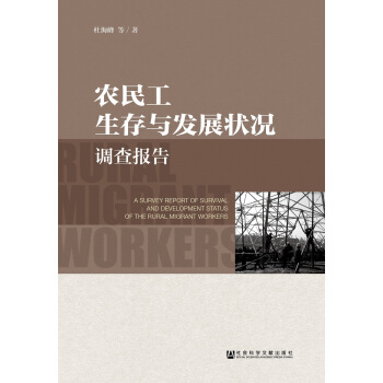 农民工生存与发展状况调查报告 pdf epub mobi 电子书 下载