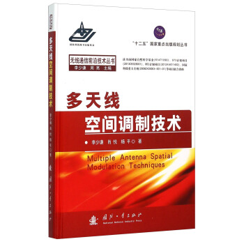 多天綫空間調製技術 [Multiple Antenna Spatial Modulation Techniques] pdf epub mobi 電子書 下載