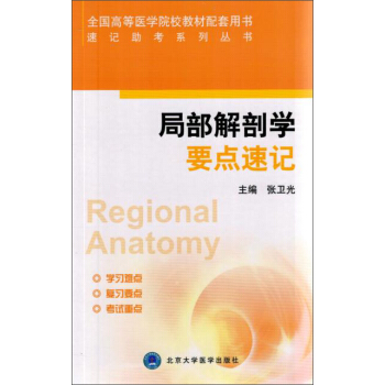 局部解剖学要点速记