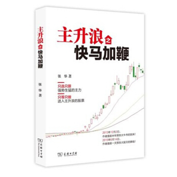 主升浪之快马加鞭 pdf epub mobi 电子书 下载