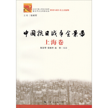 中国抗日战争全景录·上海卷 pdf epub mobi 电子书 下载