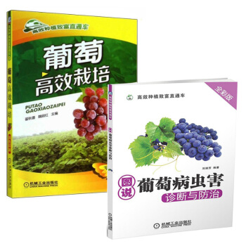 包邮葡萄gao效栽培+图说葡萄病虫害 诊断与防治共两本葡萄种植栽培技术书 pdf epub mobi 电子书 下载