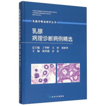 乳腺診斷病理學叢書：乳腺病理診斷病例精選 pdf epub mobi 電子書 下載