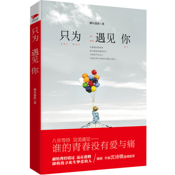只为遇见你 pdf epub mobi 电子书 下载