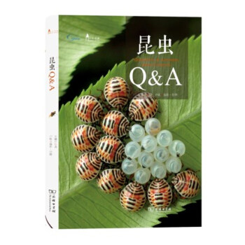 昆虫Q&A/自然观察丛书 pdf epub mobi 电子书 下载