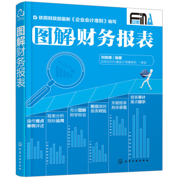 圖解財務報錶 pdf epub mobi 電子書 下載