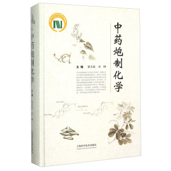 中药炮制化学 pdf epub mobi 电子书 下载