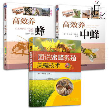 養蜂技術書籍全3冊 圖說蜜蜂養殖關鍵技術+高效養蜂+高效養中蜂 科學飼養 蜂病防治 的書 pdf epub mobi 電子書 下載