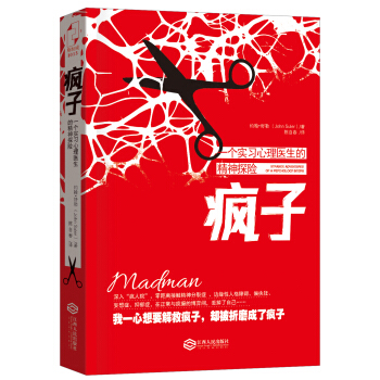 一个实习心理医生的精神探险：疯子 pdf epub mobi 电子书 下载