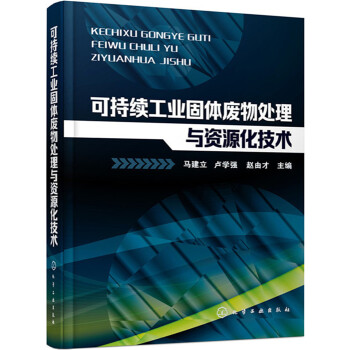 可持續工業固體廢物處理與資源化技術