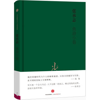 视野丛书 鱼游小巷 pdf epub mobi 电子书 下载