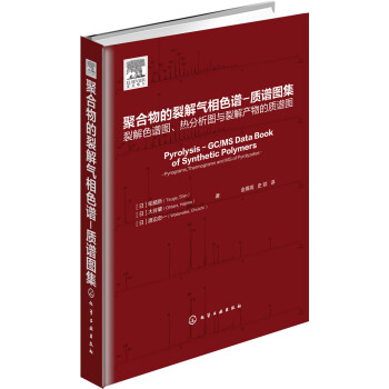 聚閤物的裂解氣相色譜：質譜圖集 [Pyrolysis - GC/MS Data Book of Synthetic Polymers] pdf epub mobi 電子書 下載