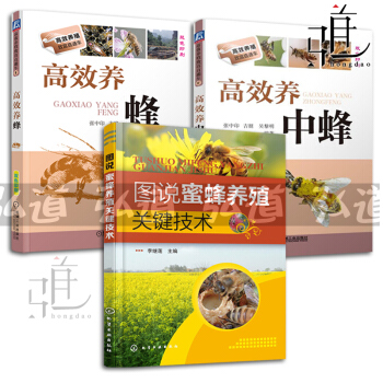 养蜂技术书籍全3册 图说蜜蜂养殖关键技术+高效养蜂+高效养中蜂 蜜蜂饲养 蜜蜂良种繁殖 蜂