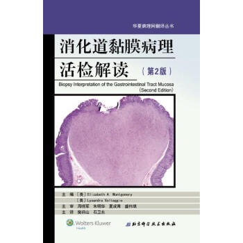 出版社授权正版现货 消化道黏膜病理活检解读/第2版 pdf epub mobi 电子书 下载