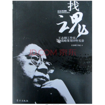 找魂：王志纲工作室战略策划10年实录 pdf epub mobi 电子书 下载