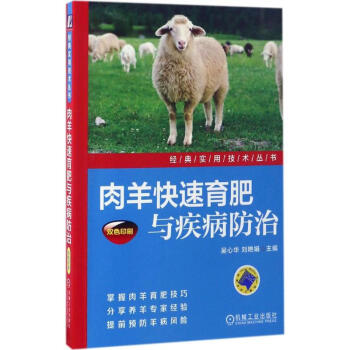 肉羊快速育肥与疾病防治 pdf epub mobi 电子书 下载