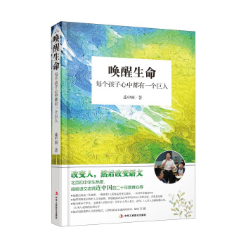 唤醒生命 每个孩子心中都有一个巨人 pdf epub mobi 电子书 下载