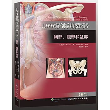LWW解剖学精要图谱：胸部、腹部和盆部 [Lippincott’s Concise Illustrated Anatomy: Thorax,] pdf epub mobi 电子书 下载