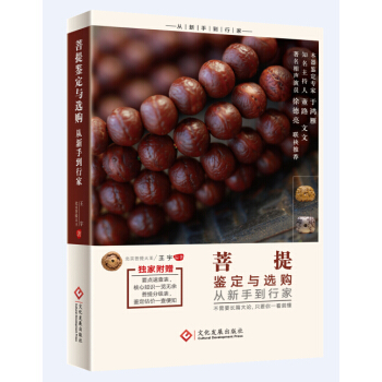 菩提鉴定与选购从新手到行家 pdf epub mobi 电子书 下载