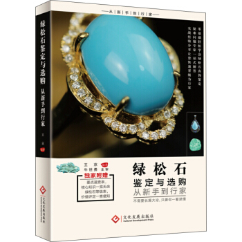 绿松石鉴定与选购从新手到行家 pdf epub mobi 电子书 下载