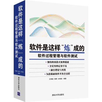軟件是這樣“煉”成的：軟件過程管理與軟件測試 pdf epub mobi 電子書 下載