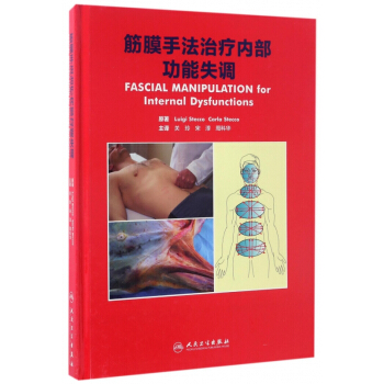 筋膜手法治療內部功能失調(精) pdf epub mobi 電子書 下載