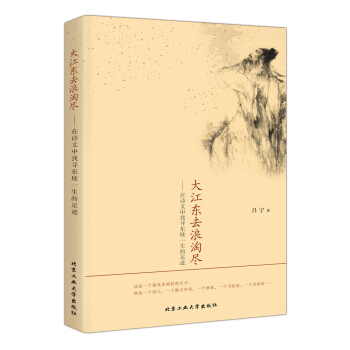 大江東去浪淘盡---在詩文中找尋東坡一生的足跡 pdf epub mobi 電子書 下載