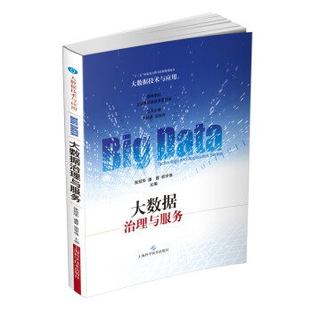 大数据治理与服务 pdf epub mobi 电子书 下载