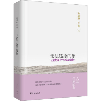 無法還原的象 pdf epub mobi 電子書 下載