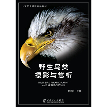 野生鸟类摄影与赏析 pdf epub mobi 电子书 下载
