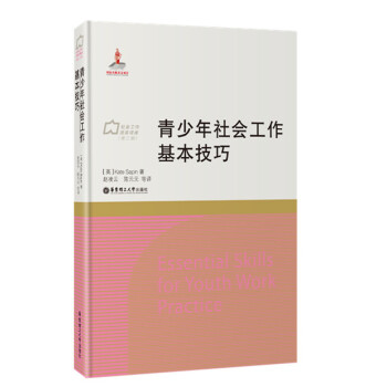 青少年社会工作基本技巧 pdf epub mobi 电子书 下载