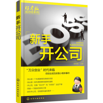 新手开公司 pdf epub mobi 电子书 下载