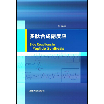 Side Reactions in Peptide Synthesis 多肽合成副反应 pdf epub mobi 电子书 下载