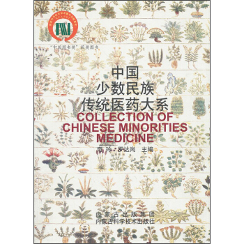 中国少数民族传统医药大系 pdf epub mobi 电子书 下载