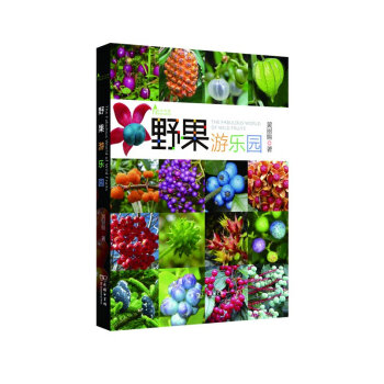 野果游乐园/自然观察丛书 pdf epub mobi 电子书 下载