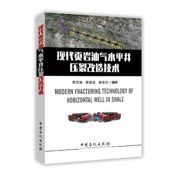 現代頁岩油氣水平井壓裂改造技術 pdf epub mobi 電子書 下載