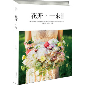 花视觉：花开·一束 pdf epub mobi 电子书 下载