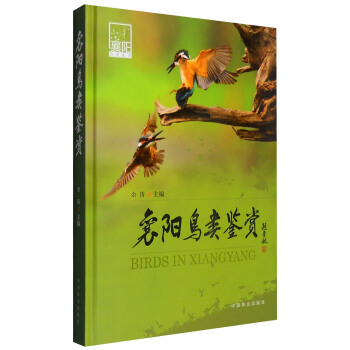 襄阳鸟类鉴赏 [Birds in Xiangyang] pdf epub mobi 电子书 下载