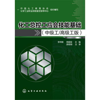 化工总控工应会技能基础（中级工/高级工版） pdf epub mobi 电子书 下载