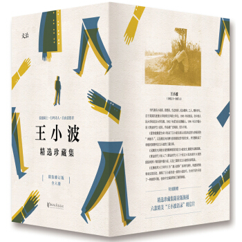 王小波精選珍藏集套裝 pdf epub mobi 電子書 下載