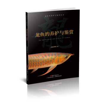 龙鱼的养护与鉴赏