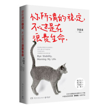 你所谓的稳定，不过是在浪费生命 pdf epub mobi 电子书 下载