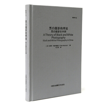 黑白攝影的理論：黑白攝影在中國/影像文叢係列 pdf epub mobi 電子書 下載