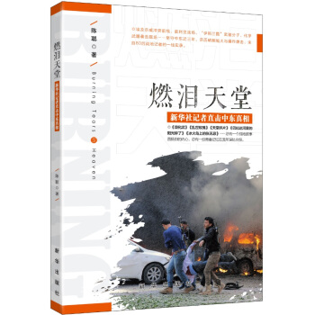 燃泪天堂：新华社记者直击中东真相 pdf epub mobi 电子书 下载